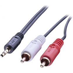 3.5mm Audio Cable σε 2X RCA M 2m 35681 LINDY