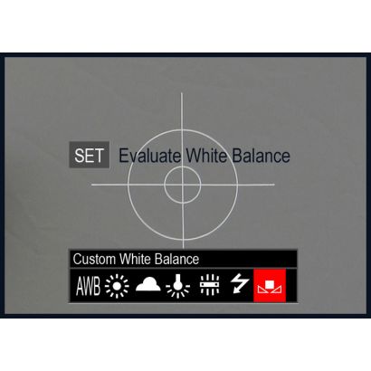 Κάρτα White Balance και Exposure Balance 30cm LA 1250 Lastolite
